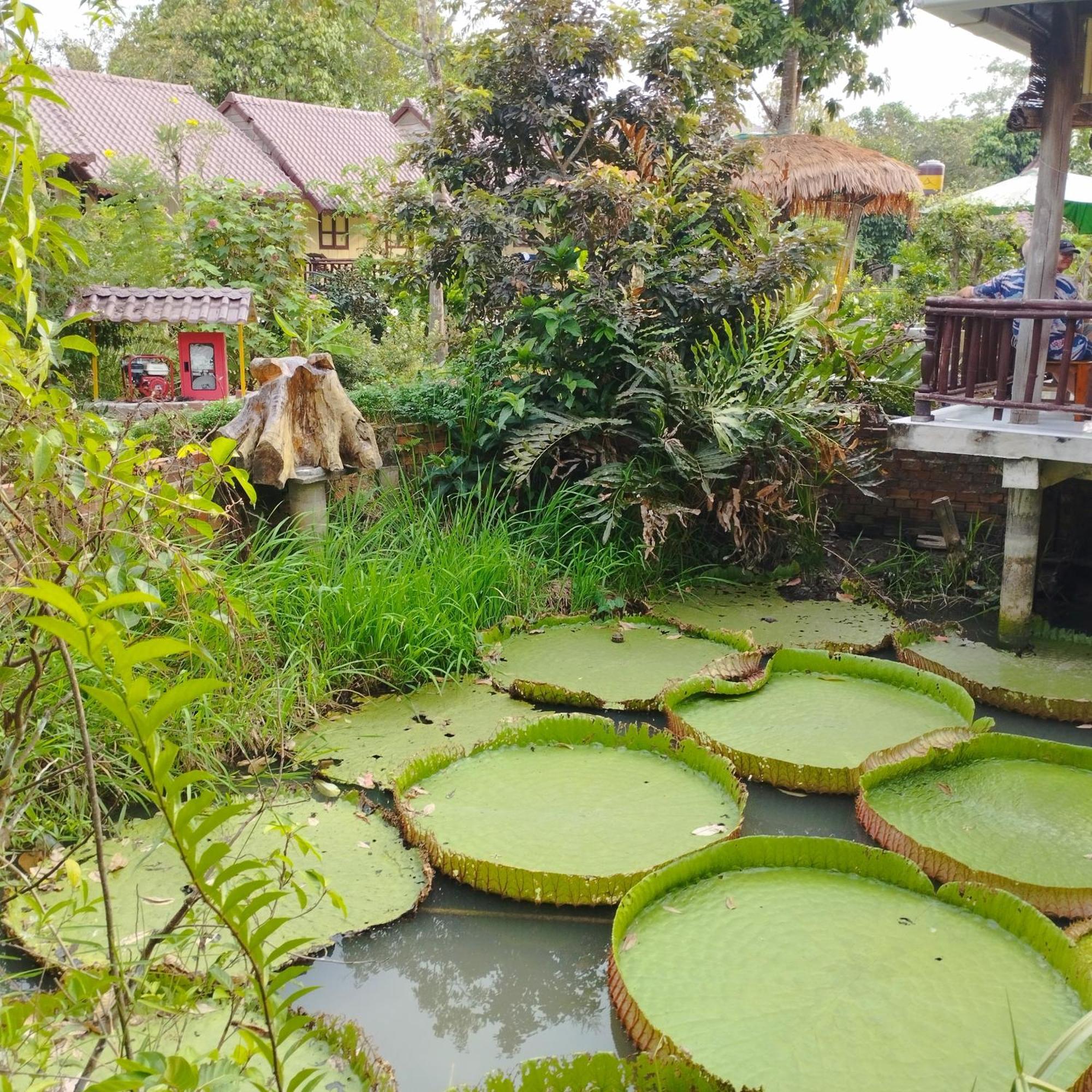 Brown House Resort Кан То Екстериор снимка